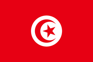 Flag-TN.svg