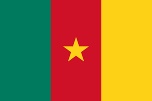 Flag-CM.svg